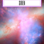 Prototype Cover for Siren